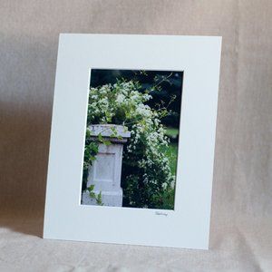 "Secret Garden" 5x7 Photography Print